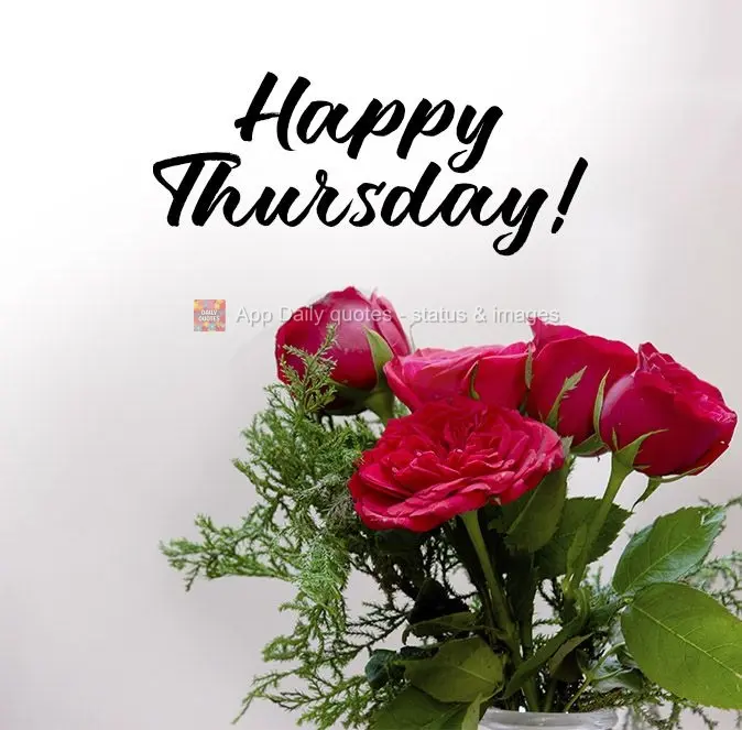Happy Thursday! 