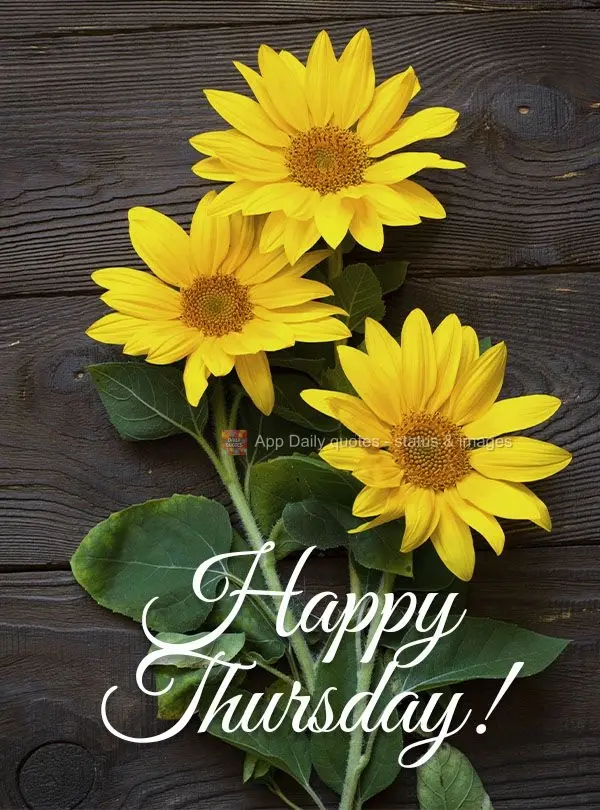 Happy Thursday!