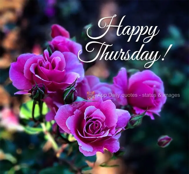 Happy Thursday!