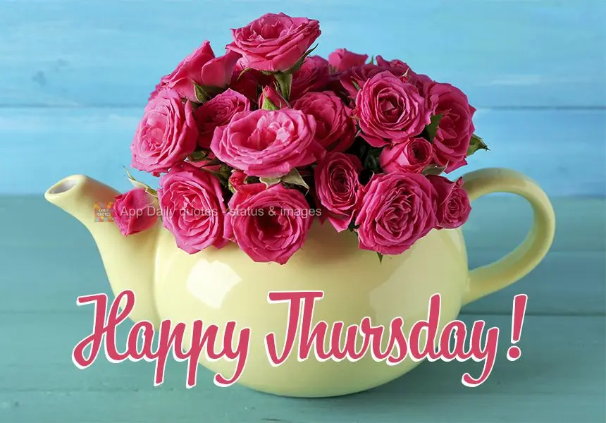 Happy Thursday!