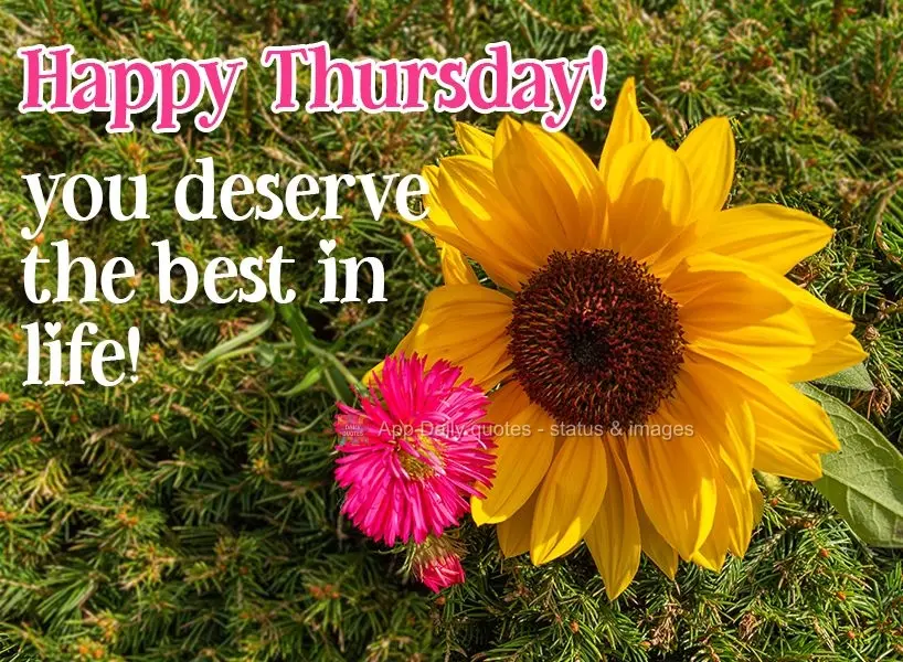Happy Thursday! Because you deserve the best in life! 