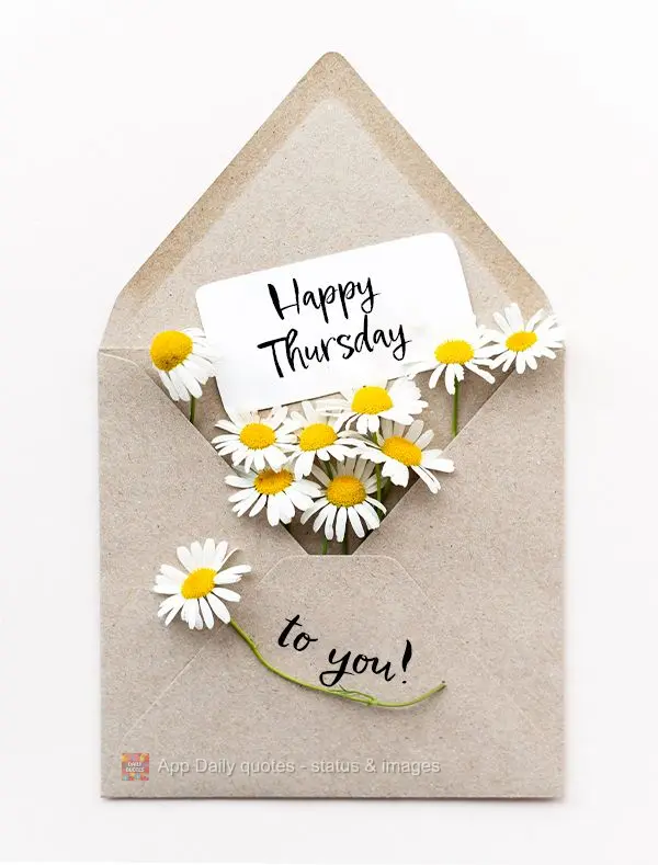 Happy Thursday to you!