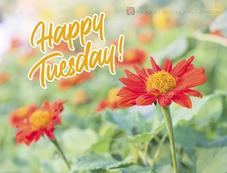 Happy Tuesday! 