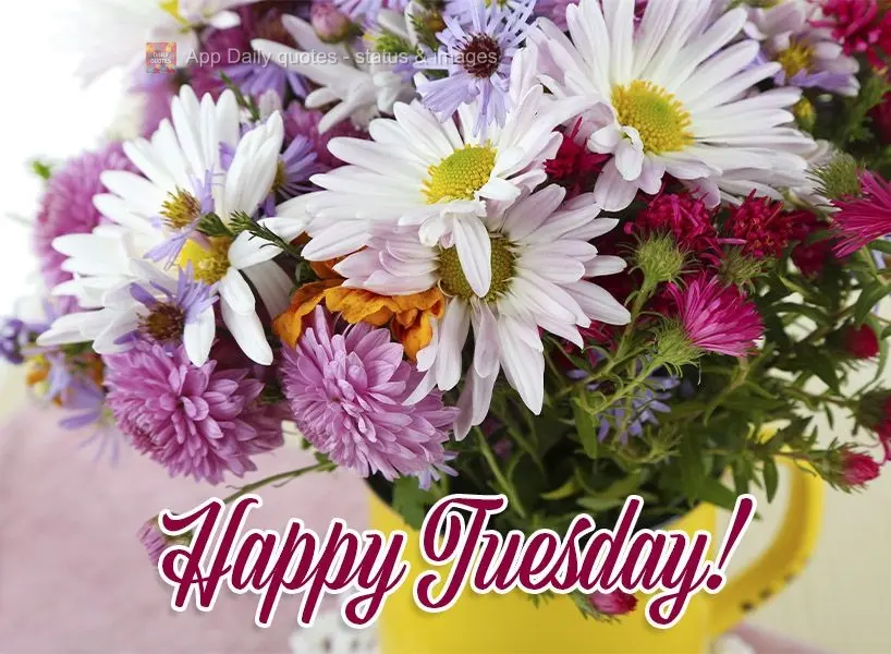 Happy Tuesday!