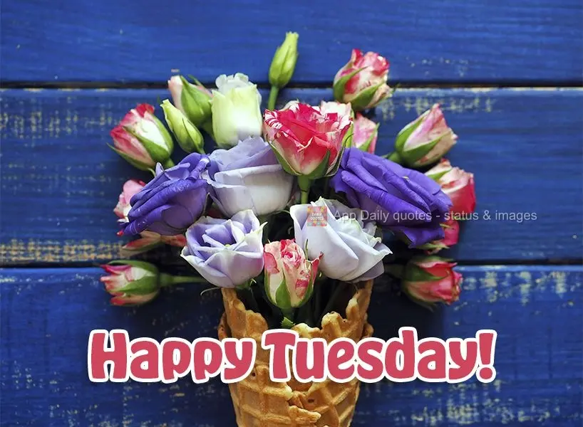 Happy Tuesday!