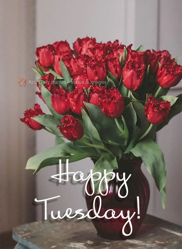 Happy Tuesday!
