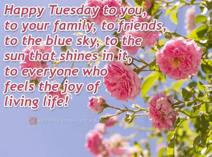 Happy Tuesday to you, to your family, to friends, to the blue sky, to the sun that shines in it, to everyone who feels the joy of living life!