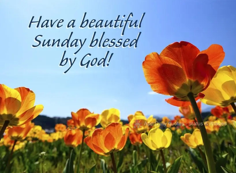 Have a beautiful Sunday blessed by God! 