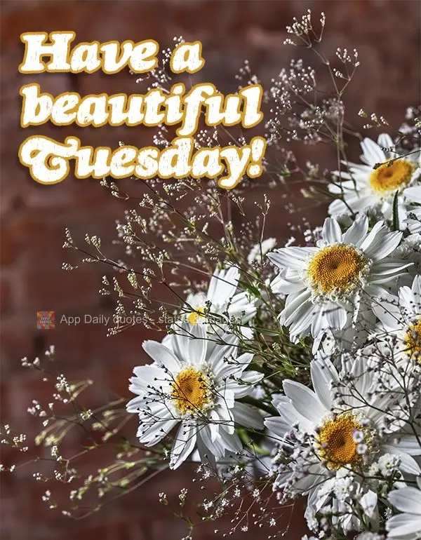 Have a beautiful Tuesday!