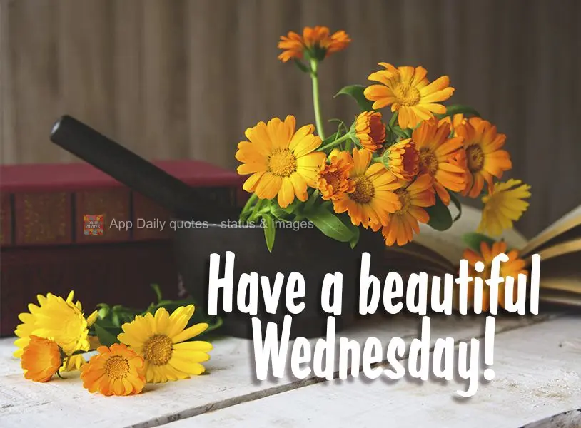 Have a beautiful Wednesday!