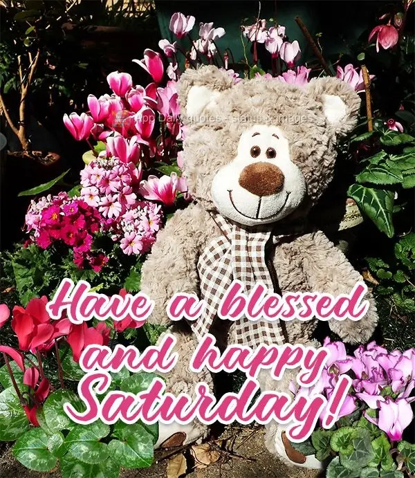 Have a blessed and happy Saturday! 