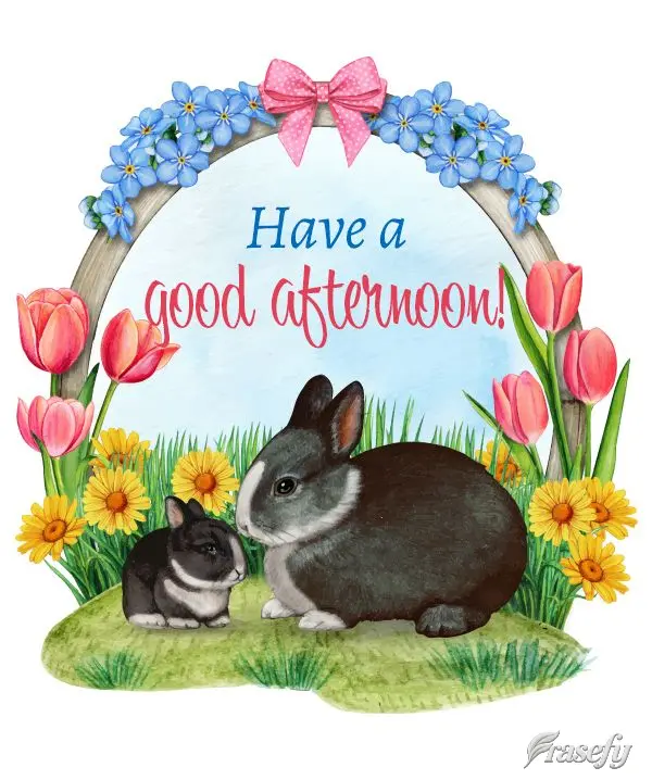 Have a good afternoon!