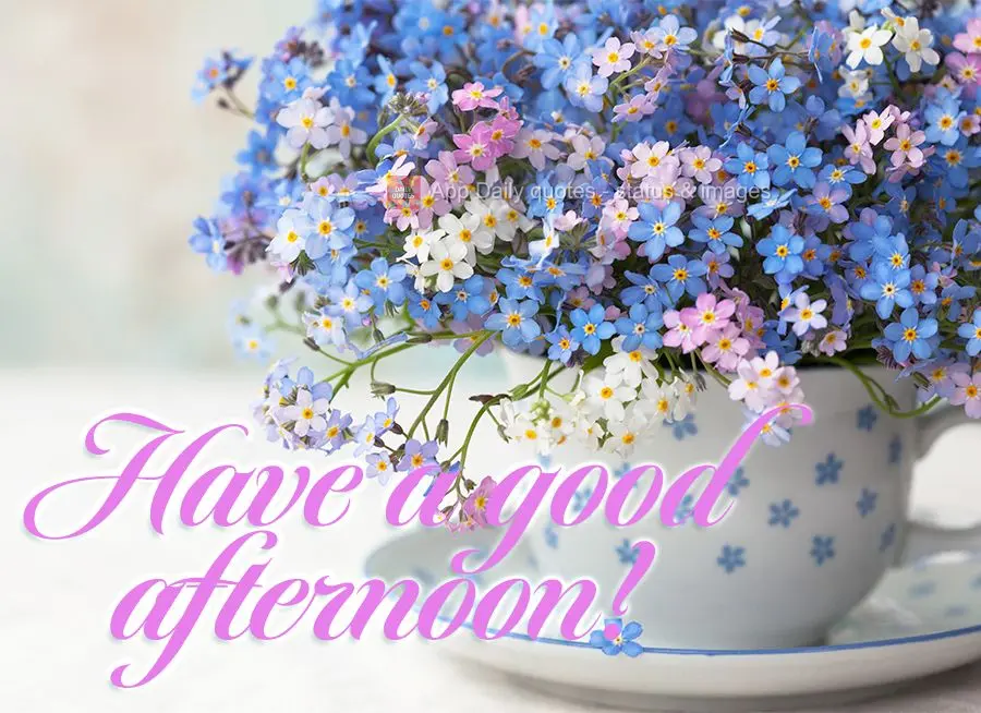 Have a good afternoon!