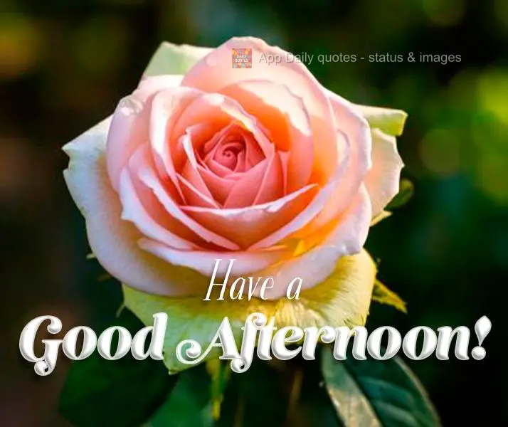 Have a Good Afternoon!