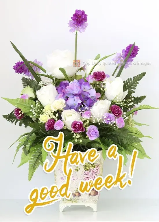 Have a good week! 