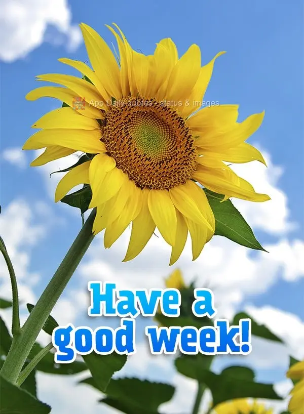 Have a good week!