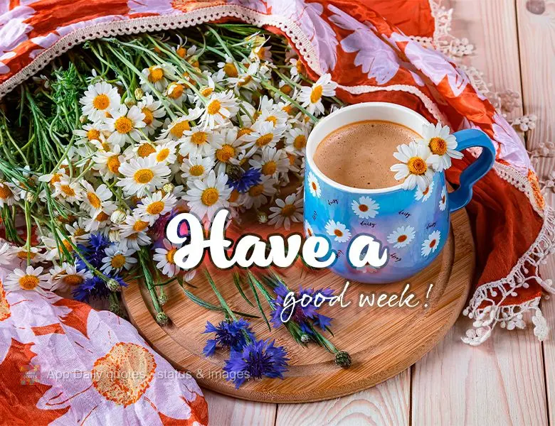 Have a good week!
