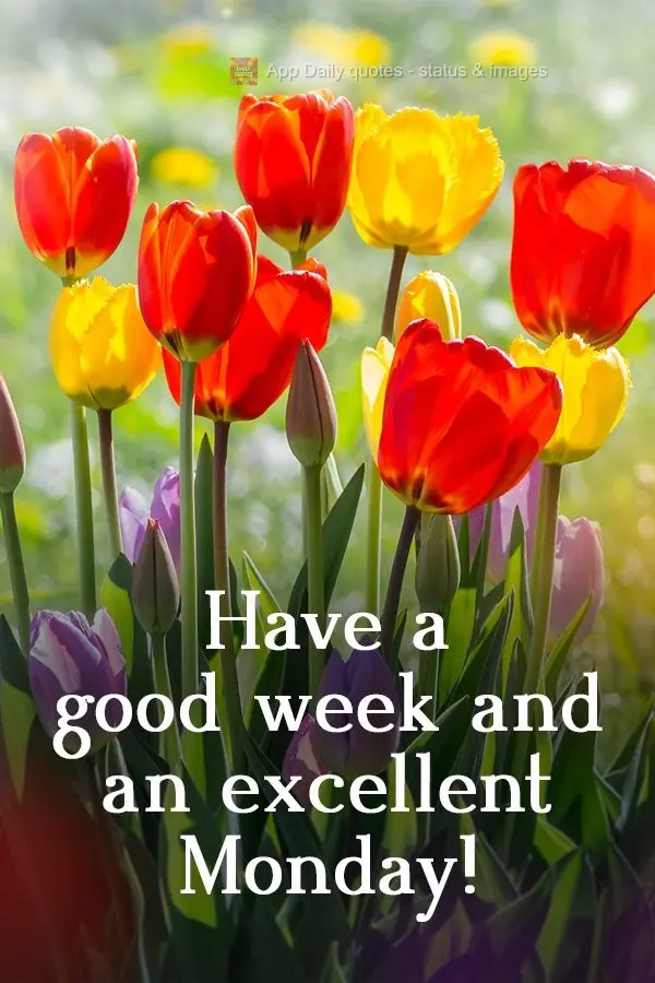 Have a good week and an excellent Monday! 