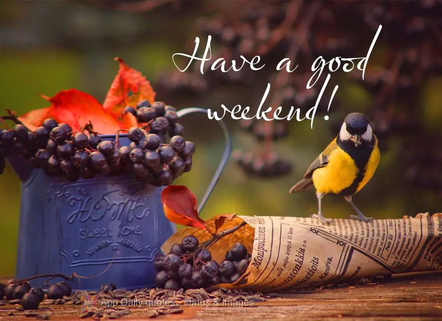 Have a good weekend!