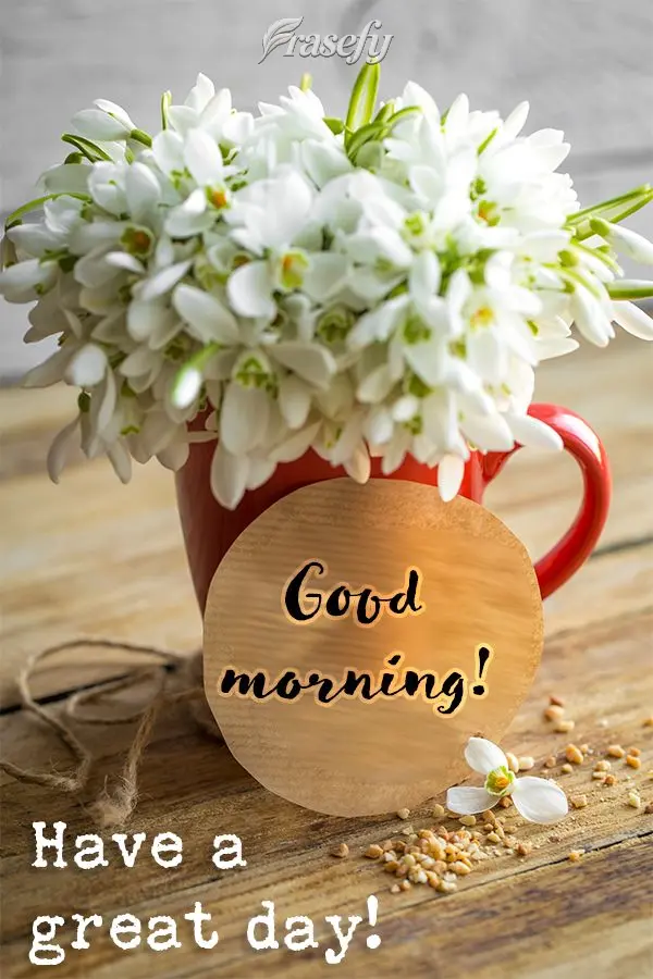 Have a great day! Good morning!