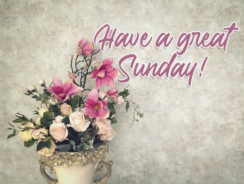 Have a great Sunday! 