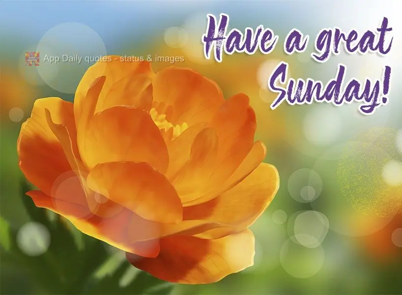 Have a great Sunday! 
