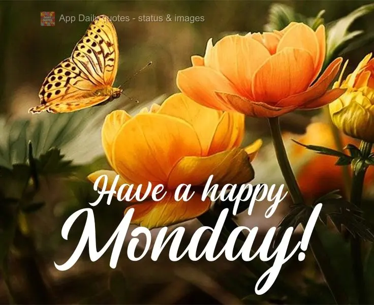 Have a happy Monday! 