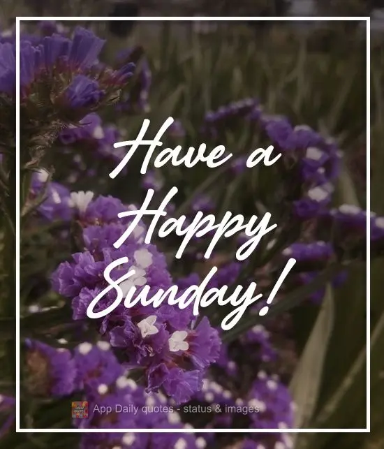Have a Happy Sunday!