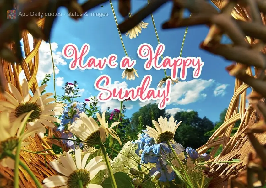 Have a Happy Sunday!