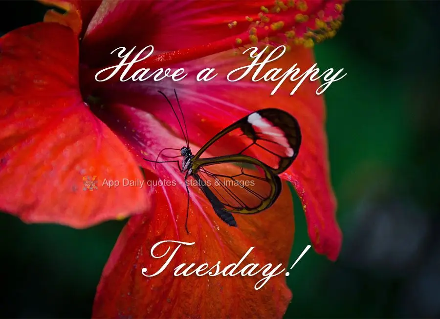Have a Happy Tuesday!
