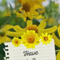Have a happy weekend!