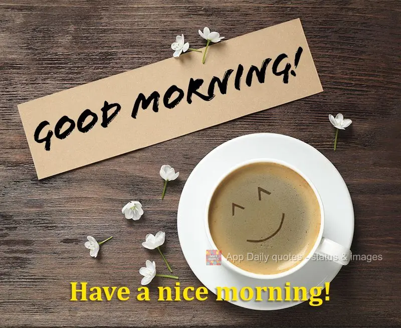 Have a nice morning! Good morning!