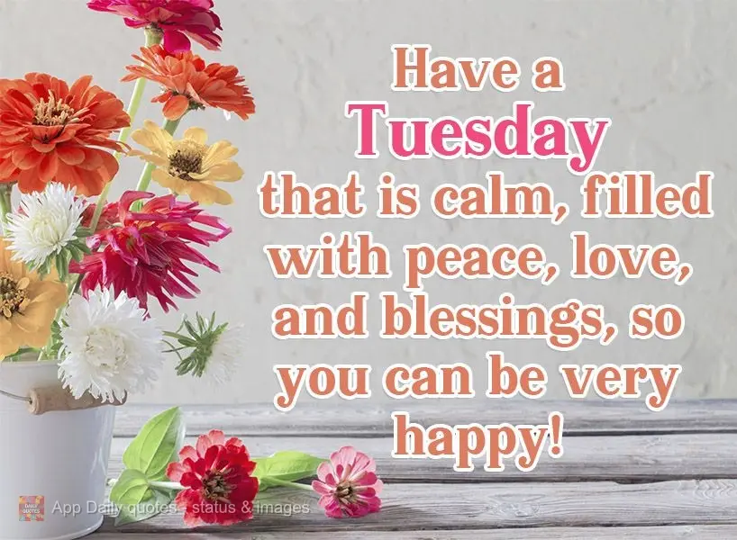 Have a Tuesday that is calm, filled with peace, love, and blessings, so you can be very happy! 