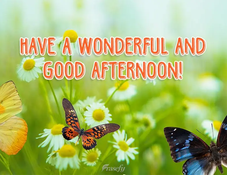 Have a wonderful and good afternoon! 