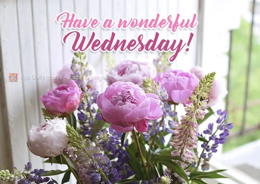 Have a wonderful Wednesday! 