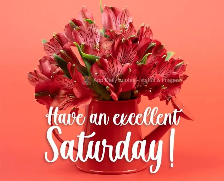 Have an excellent Saturday! 