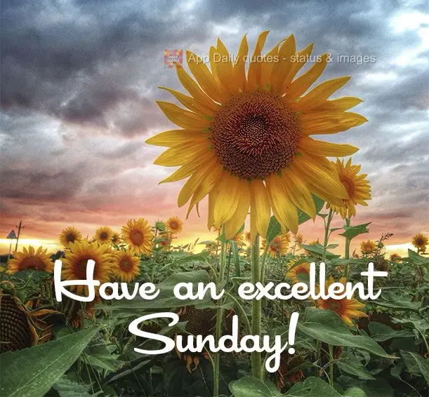 Have an excellent Sunday!