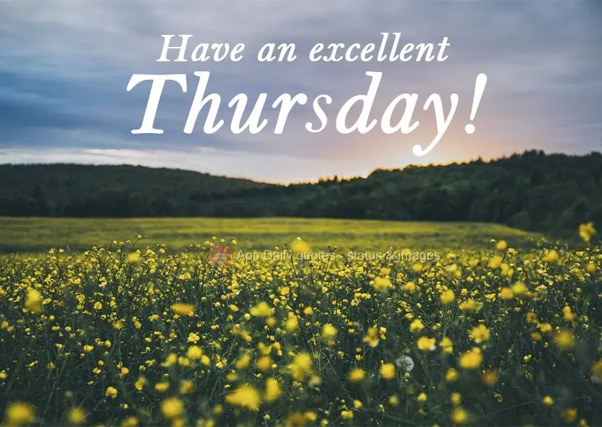 Have an excellent Thursday!