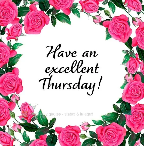 Have an excellent Thursday!