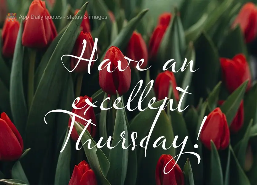 Have an excellent Thursday!