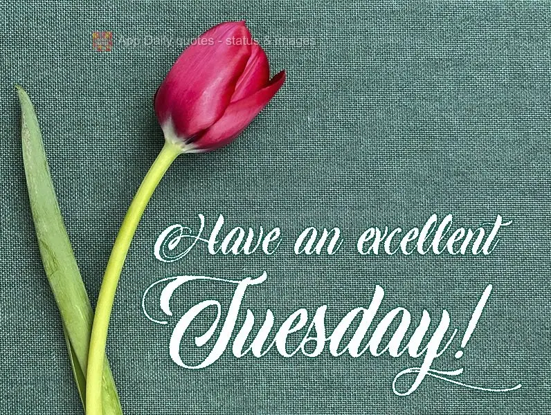 Have an excellent Tuesday! 