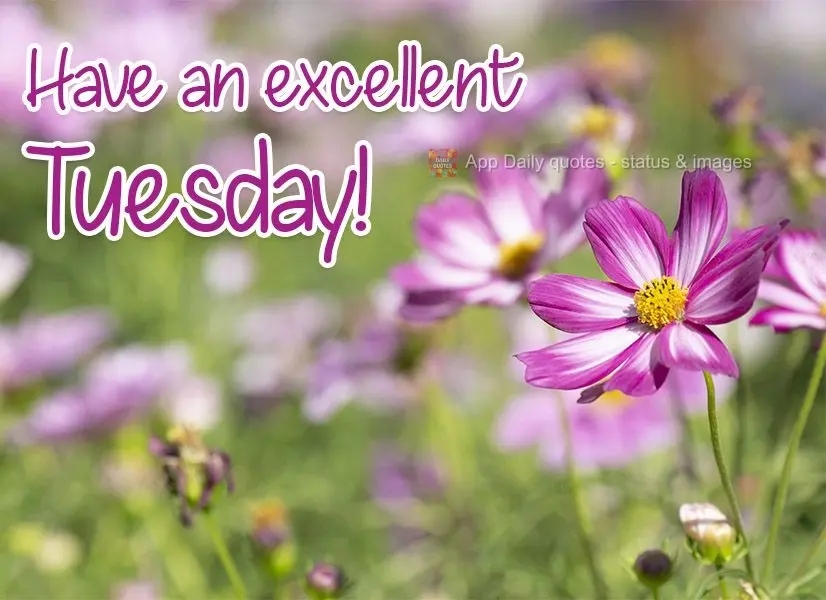 Have an excellent Tuesday! 