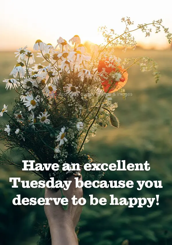 Have an excellent Tuesday because you deserve to be happy!