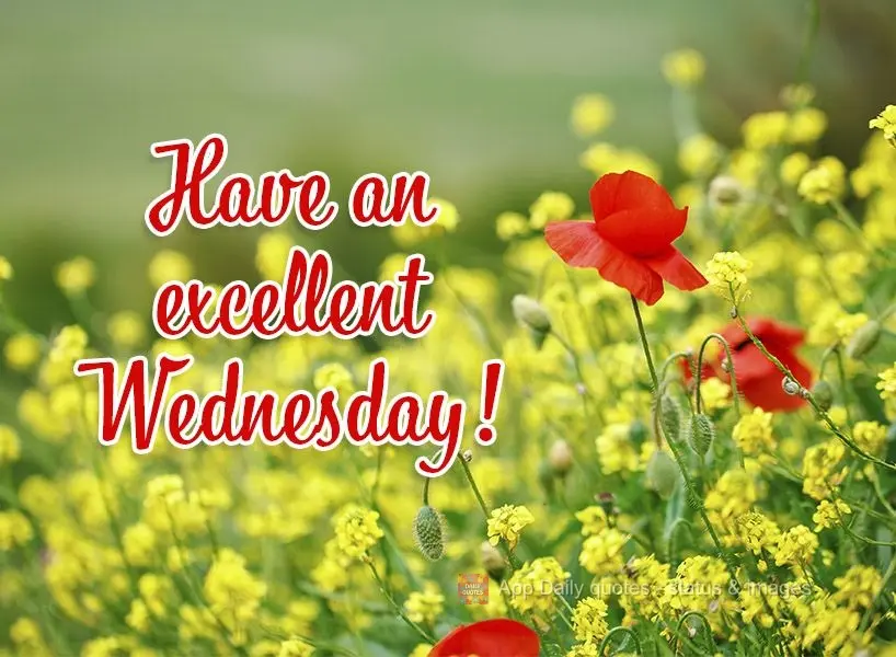 Have an excellent Wednesday!