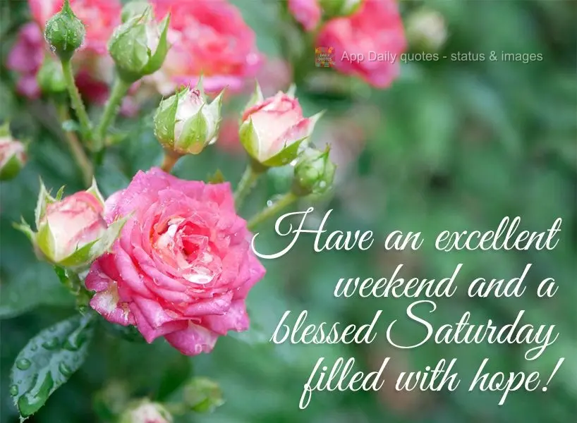 Have an excellent weekend and a blessed Saturday filled with hope!