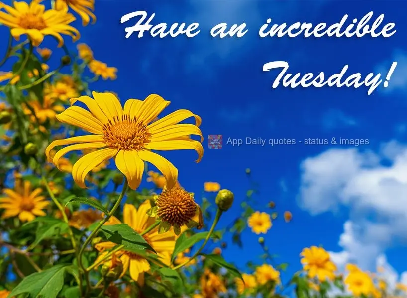Have an incredible Tuesday!