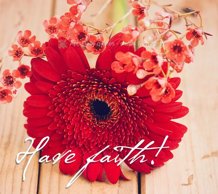 Have faith!