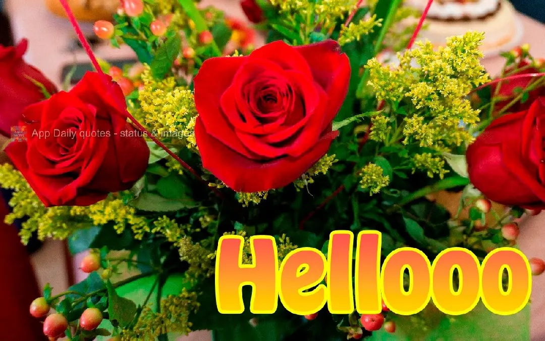 Helloooooo