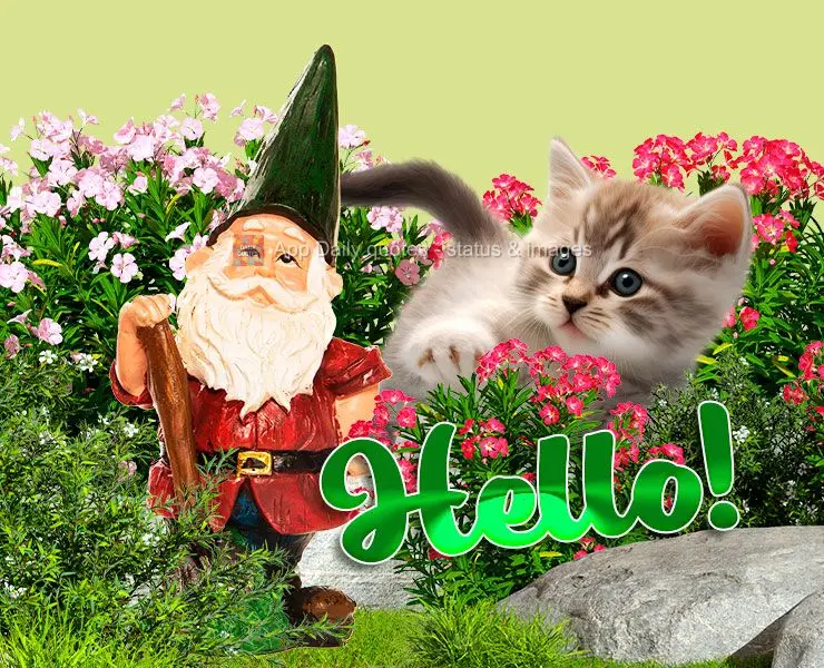 Hello!
