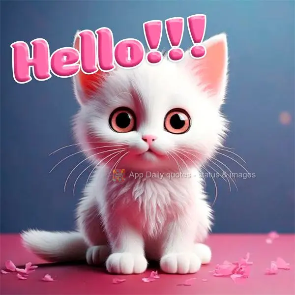 Hello!!!